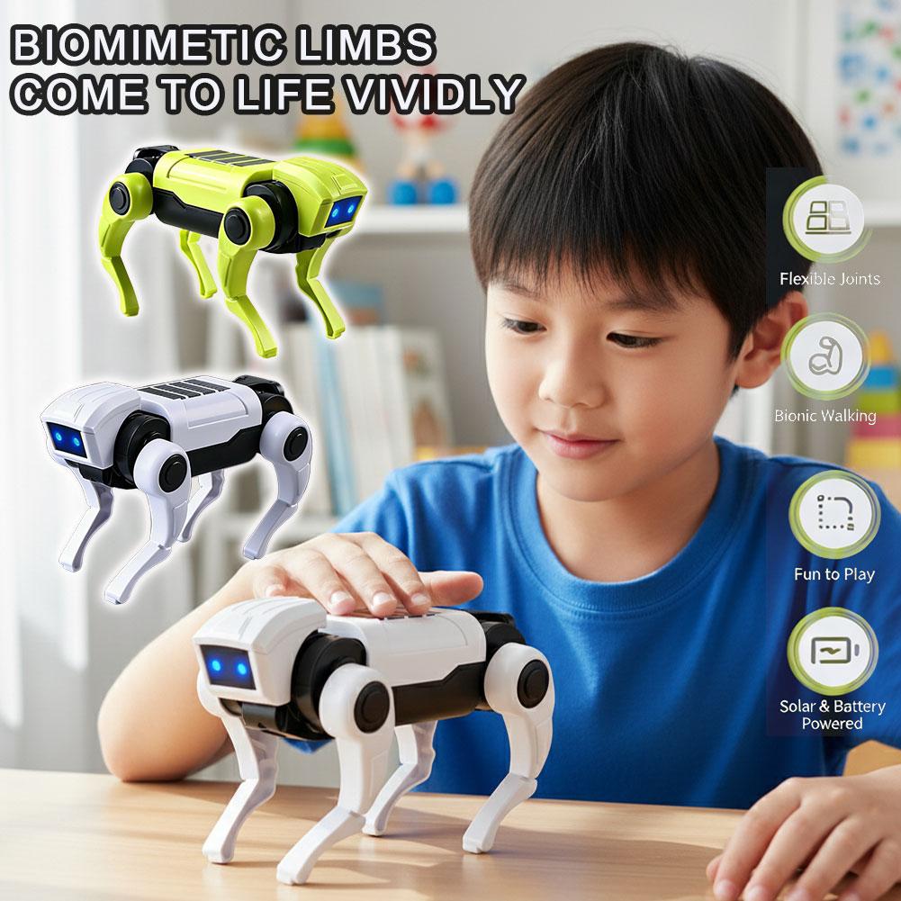 Science Diy Model - DIY Montage RC Roboterhund Spielzeug Ferngesteuerter
