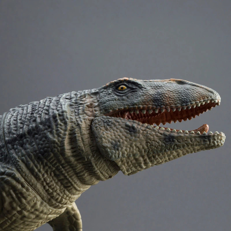 PROG Große Simulierte Prognath – Science Toy Bewertung und Preis