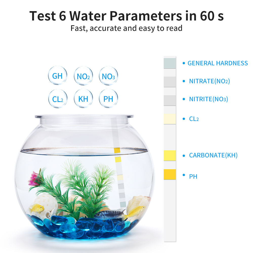 6-in-1-Wasserqualitätsteststre – Water Testing Kit Bewertung und Preis